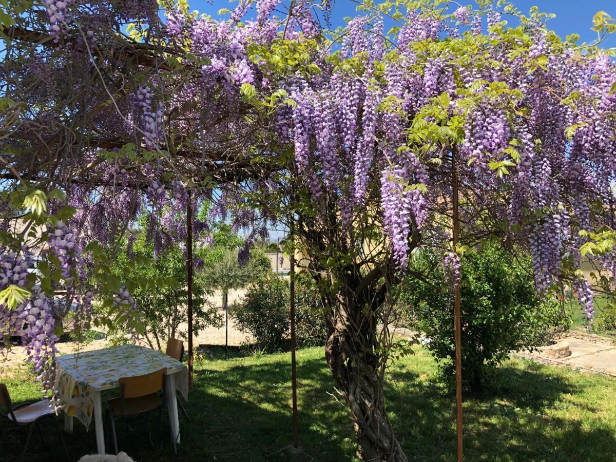 Gite Climatise Avec Piscine Sur Les Hauteurs De โบลแลน ภายนอก รูปภาพ